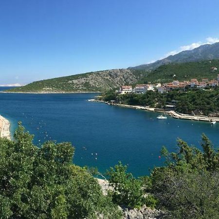 Wil Vannese Stinica Esterno foto