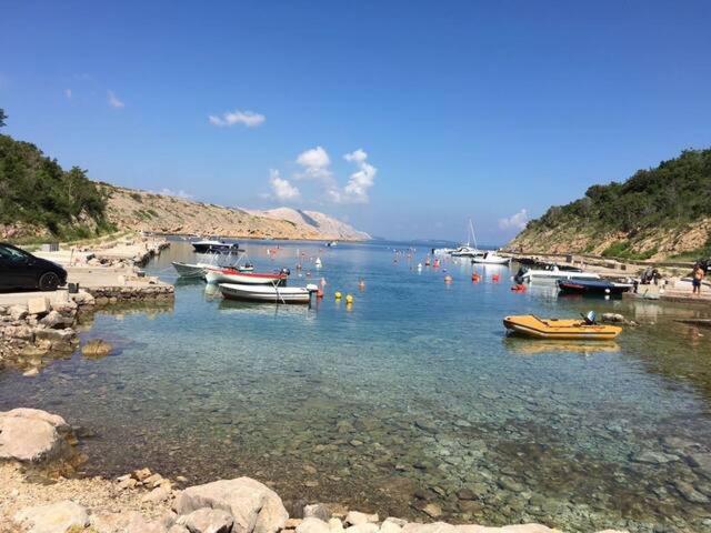 Wil Vannese Stinica Esterno foto