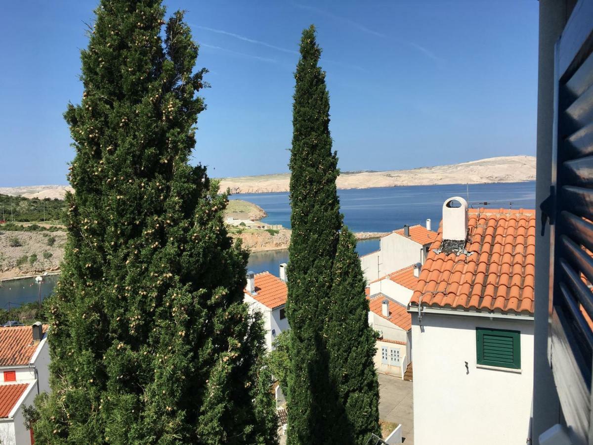 Wil Vannese Stinica Esterno foto