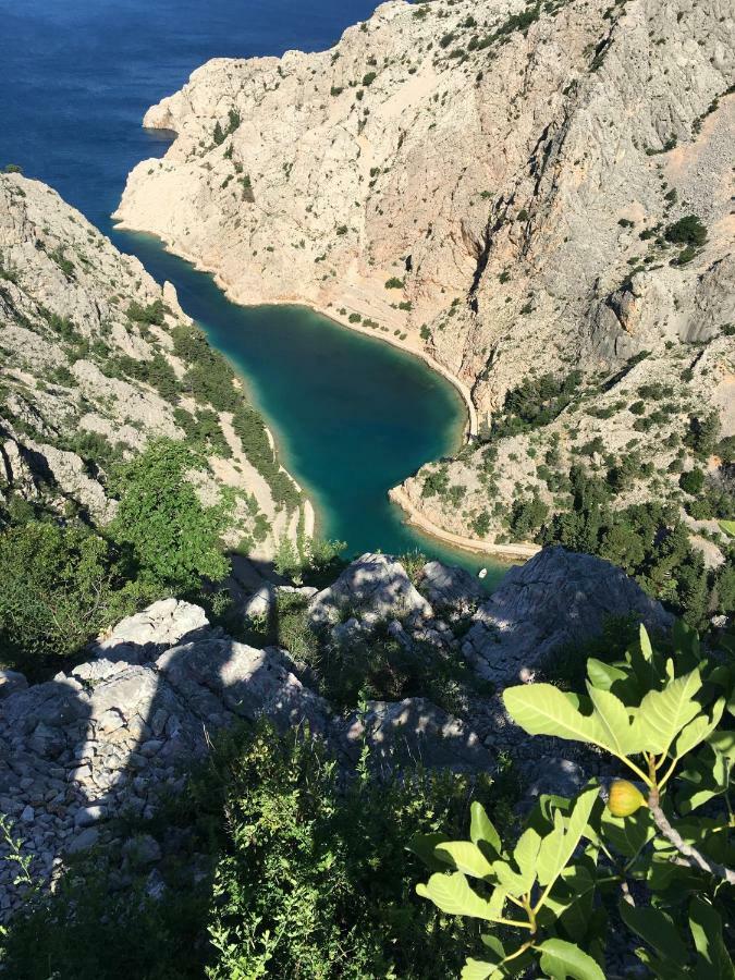 Wil Vannese Stinica Esterno foto