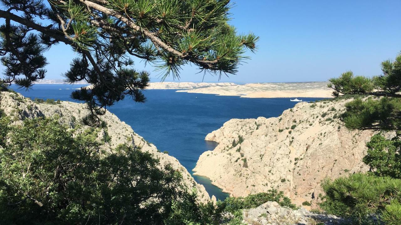 Wil Vannese Stinica Esterno foto