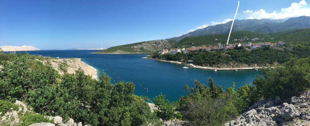 Wil Vannese Stinica Esterno foto