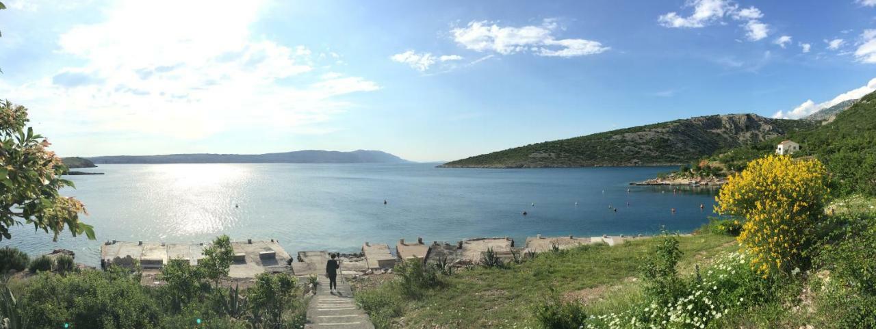 Wil Vannese Stinica Esterno foto