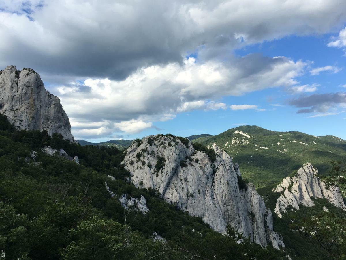 Wil Vannese Stinica Esterno foto