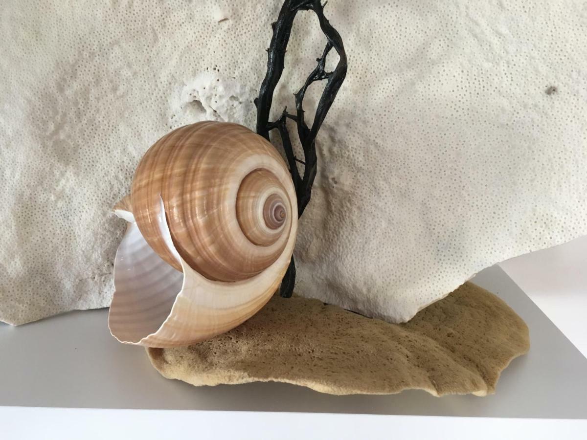 Wil Vannese Stinica Esterno foto
